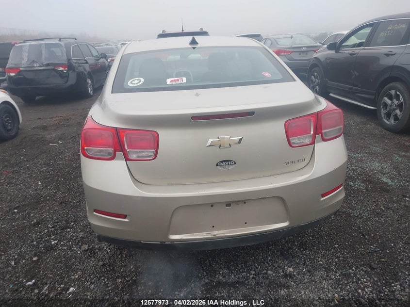 2013 Chevrolet Malibu Ls VIN: 1G11B5SA3DF144316 Lot: 12577973