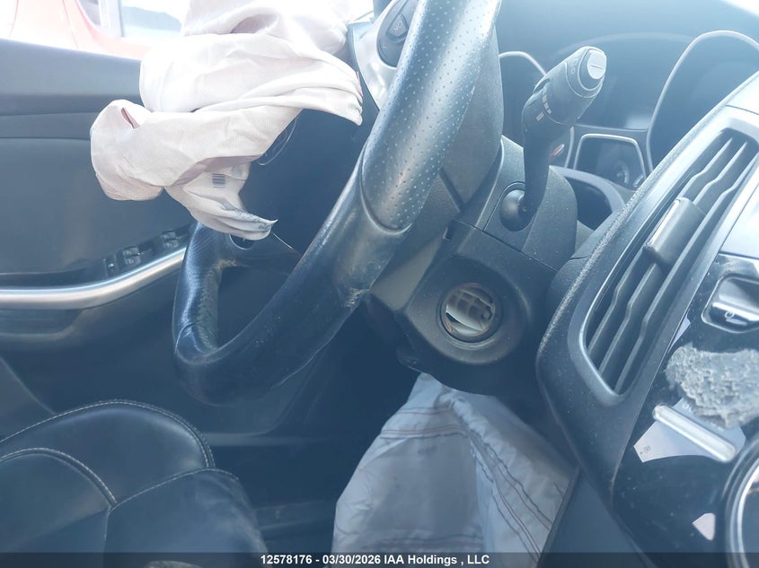 2013 Ford Focus St St VIN: 1FADP3L94DL206070 Lot: 12578176