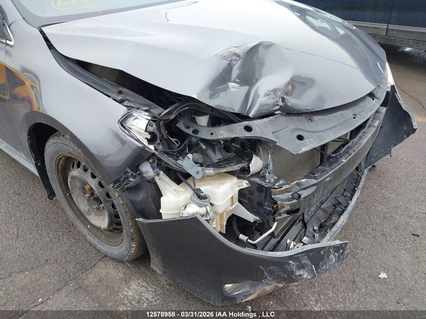 2013 Toyota Avalon VIN: 4T1BK1EB9DU019188 Lot: 12578958