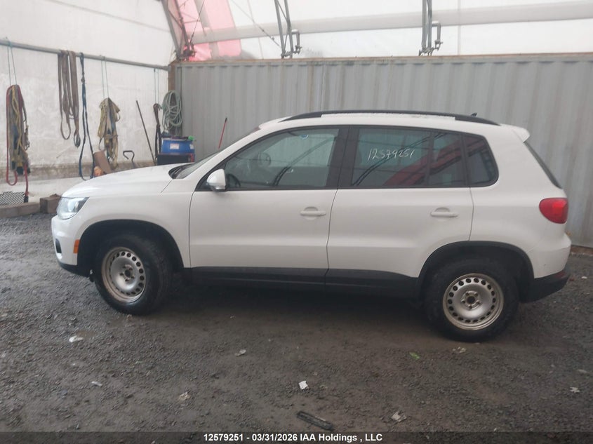 2015 Volkswagen Tiguan Comfortline/Highline/Special Edition/Trendline VIN: WVGJV7AX2FW534242 Lot: 12579251