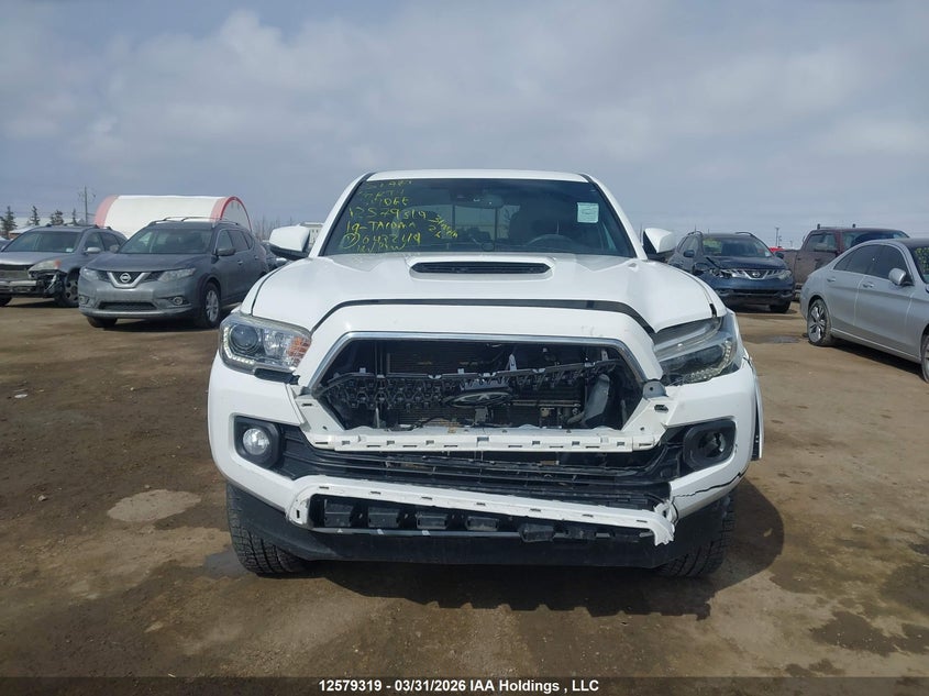 2019 Toyota Tacoma Double Cab/Sr5/Trd Sport/Trd Off Road VIN: 5TFDZ5BNXKX043249 Lot: 12579319