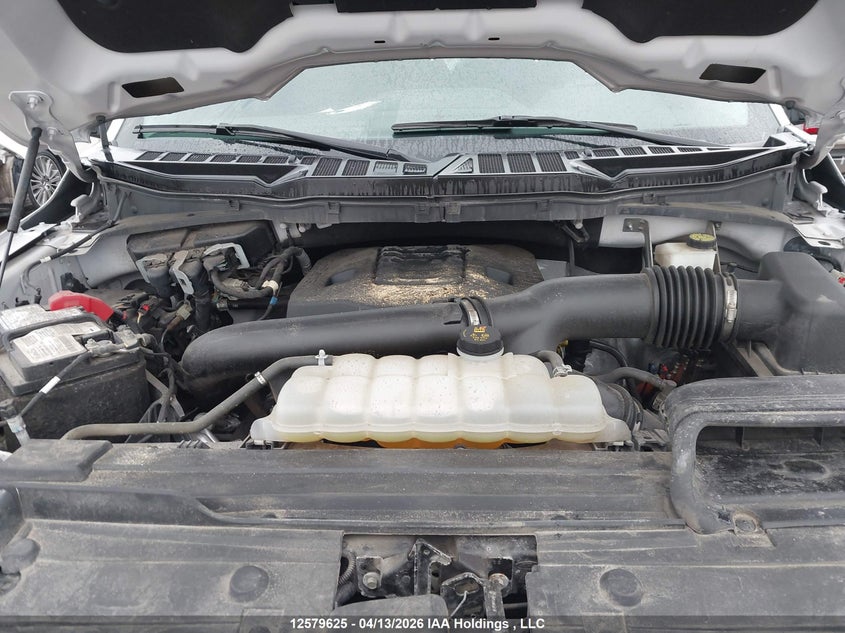 2021 Ford F-150 Xlt VIN: 1FTFW1E83MFC13024 Lot: 12579625