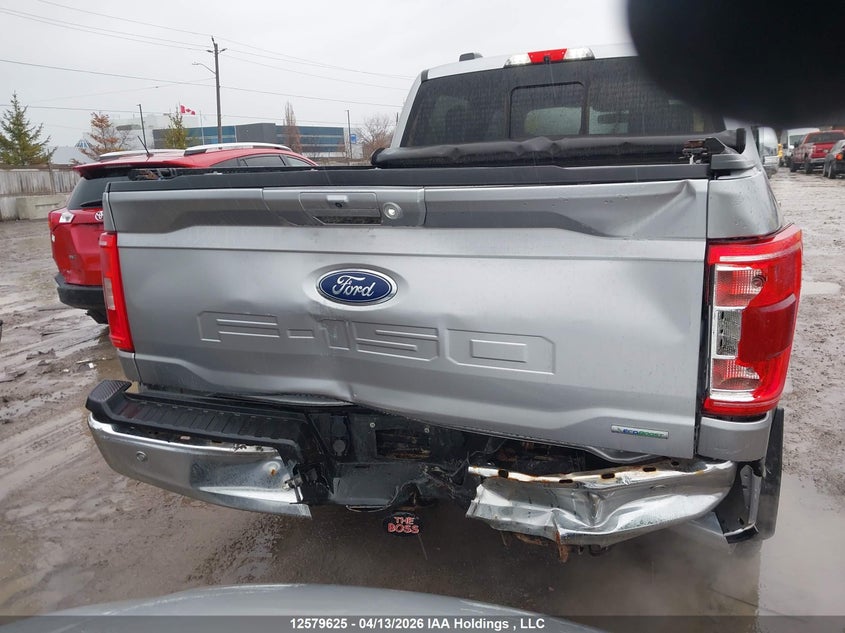 2021 Ford F-150 Xlt VIN: 1FTFW1E83MFC13024 Lot: 12579625