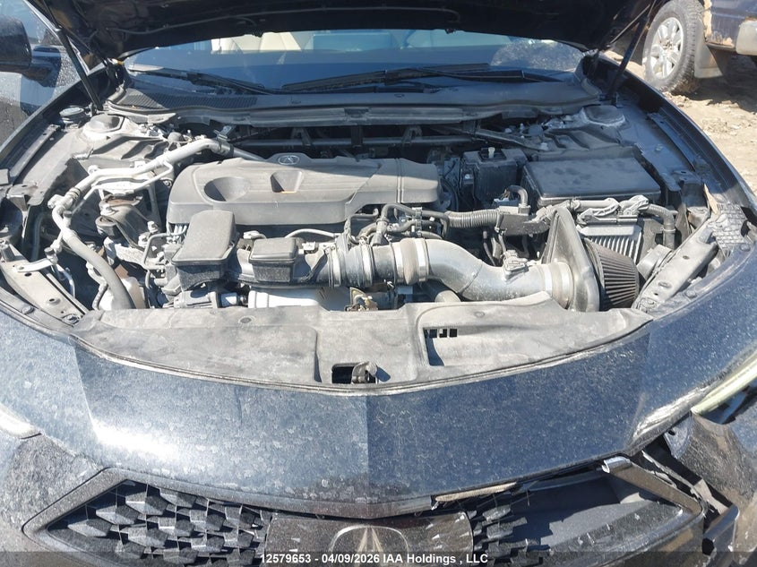 2021 Acura Tlx Tech VIN: 19UUB6F49MA800998 Lot: 12579653