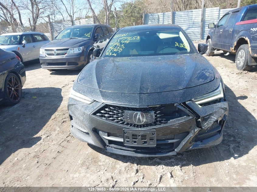 2021 Acura Tlx Tech VIN: 19UUB6F49MA800998 Lot: 12579653
