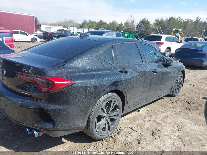 2021 Acura Tlx Tech VIN: 19UUB6F49MA800998 Lot: 12579653