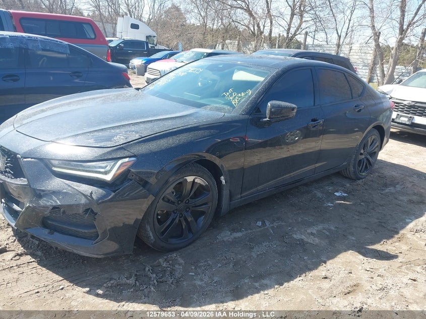 2021 Acura Tlx Tech VIN: 19UUB6F49MA800998 Lot: 12579653