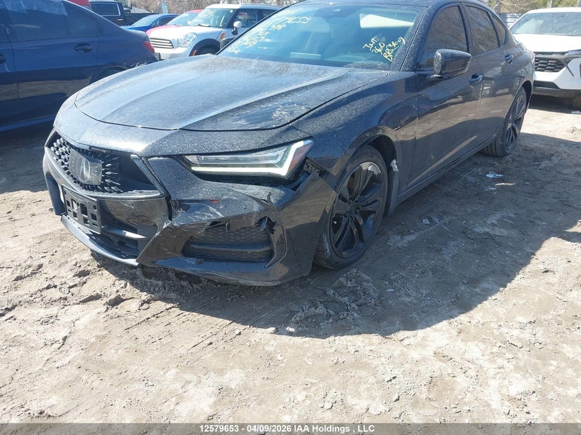 2021 Acura Tlx Tech VIN: 19UUB6F49MA800998 Lot: 12579653