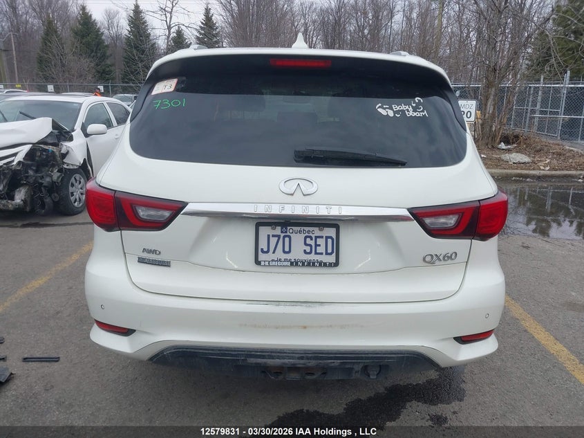 2019 Infiniti Qx60 VIN: 5N1DL0MM6KC560754 Lot: 12579831
