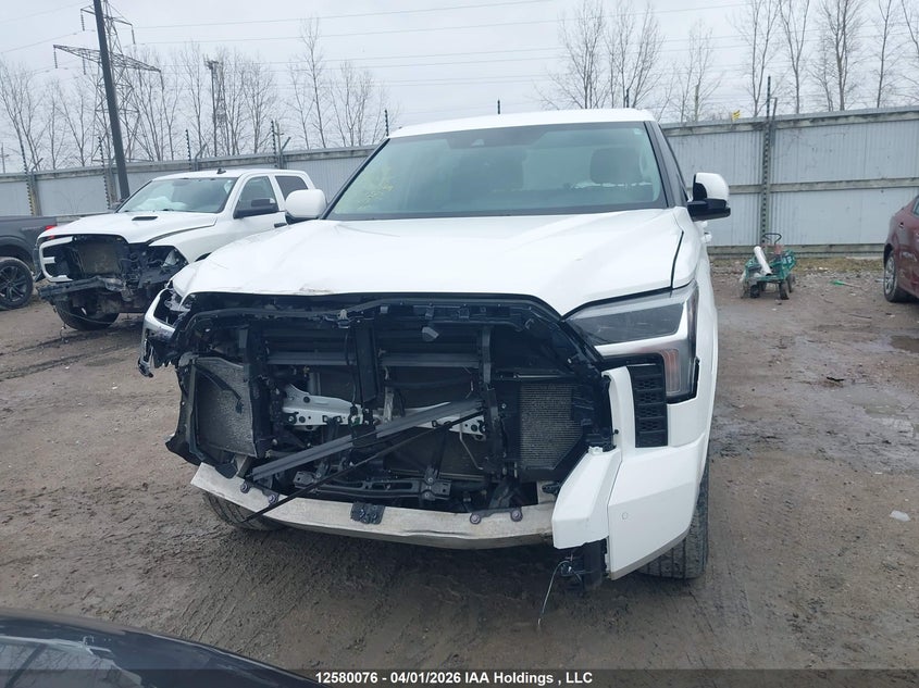 2024 Toyota Tundra VIN: 5TFLA5DB6RX210562 Lot: 12580076