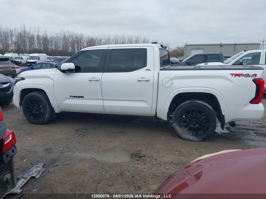 2024 Toyota Tundra VIN: 5TFLA5DB6RX210562 Lot: 12580076