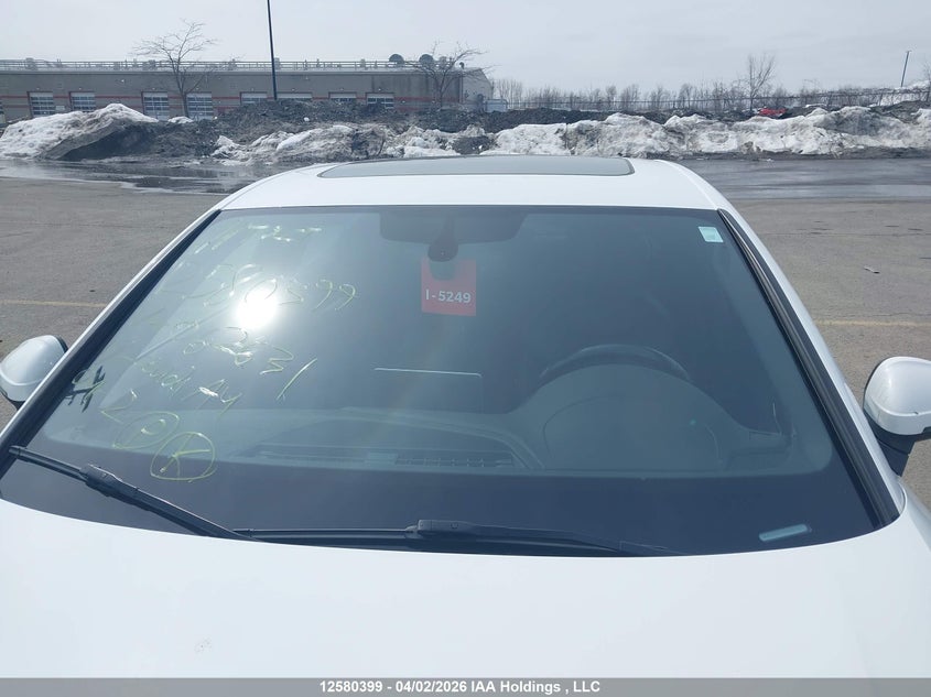 2017 Audi A4 VIN: WAUENAF49HN062631 Lot: 12580399