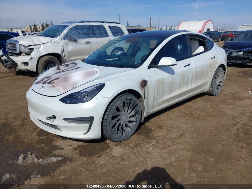 Vin: 5yj3e1ec1pf399343, lot: 2975775, tesla model 3 performance 20232
