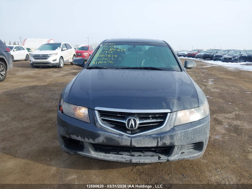2005 Acura Tsx VIN: JH4CL968X5C802839 Lot: 12580620