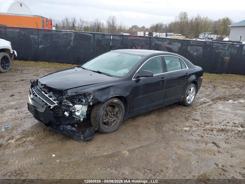Vin: 1g1zb5eu2bf184361, lot: 2976166, chevrolet malibu ls 20112