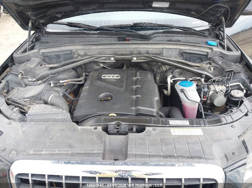 2012 Audi Q5 2.0T Premium Plus VIN: WA1WFCFP0CA134109 Lot: 12580940