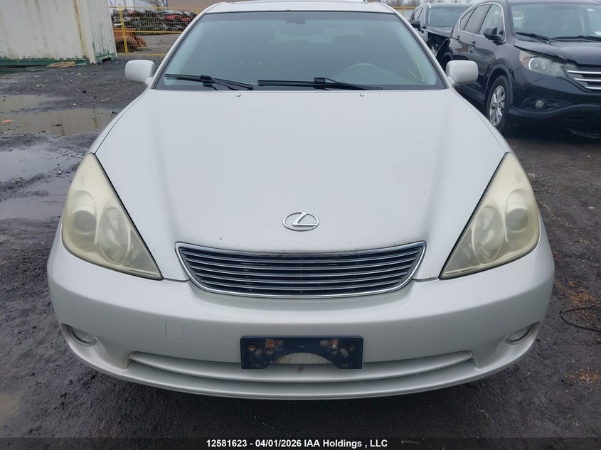 2005 Lexus Es 330 VIN: JTHBA30G955088236 Lot: 12581623