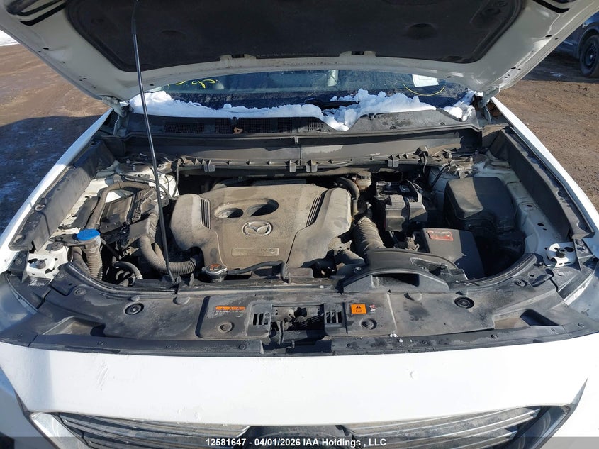 2021 Mazda Cx-9 Touring VIN: JM3TCBCY4M0530339 Lot: 12581647