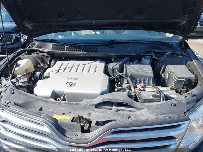 2009 Toyota Venza VIN: 4T3BK11A49U013388 Lot: 12582857