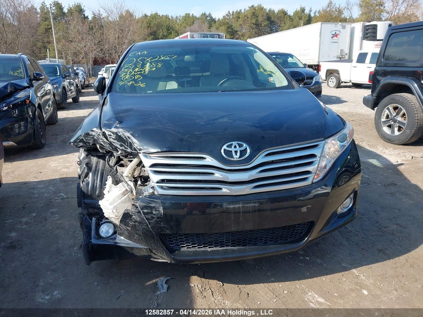 2009 Toyota Venza VIN: 4T3BK11A49U013388 Lot: 12582857