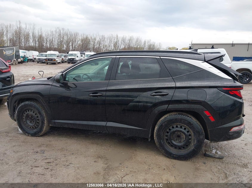 2022 Hyundai Tucson Preferred Fwd VIN: KM8JB3AEXNU060406 Lot: 12583066