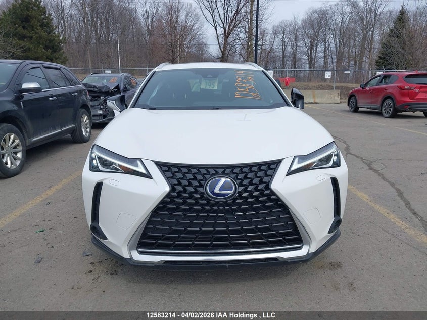 2020 Lexus Ux 250H VIN: JTHP9JBH4L2022975 Lot: 12583214