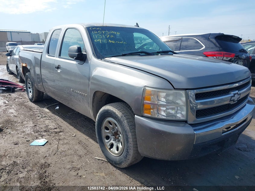 2009 Chevrolet Silverado 1500 Ls/Lt/Wt VIN: 2GCEC19C991113172 Lot: 12583742