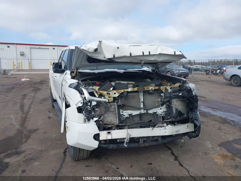 2023 Toyota Tundra Sr VIN: 5TFLA5DAXPX065157 Lot: 12583966
