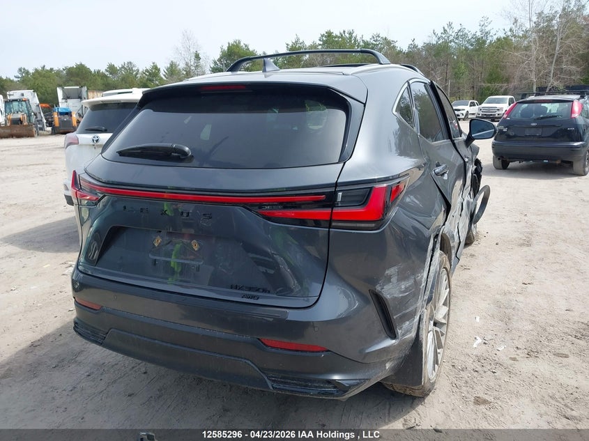 Lot image 16