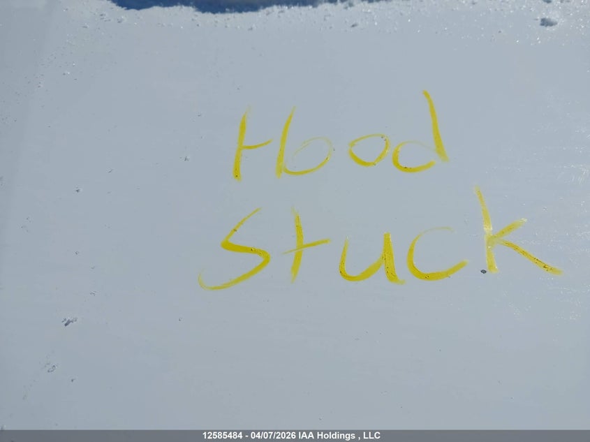 2017 Toyota Rav4 VIN: 2T3ZFREV4HW377792 Lot: 12585484