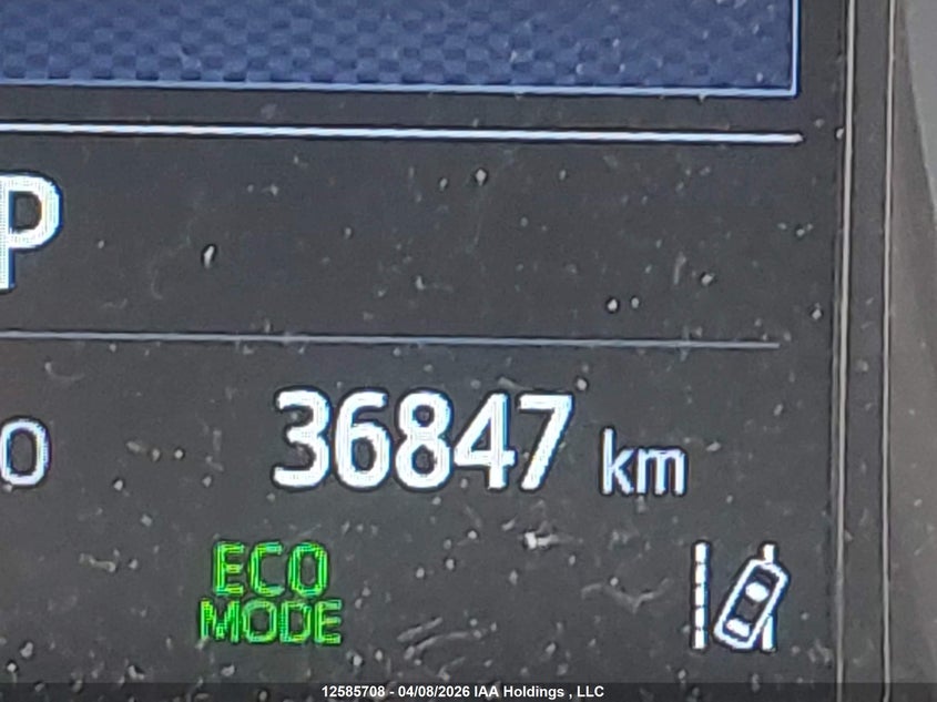 2021 Toyota C-Hr Xle/Le/Night Shade/Limited VIN: JTNKHMBX8M1098483 Lot: 12585708