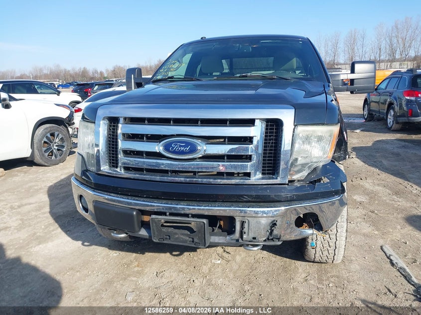 2009 Ford F-150 Lariat/Xl/Xlt VIN: 1FTPX14V69KC86850 Lot: 12586259