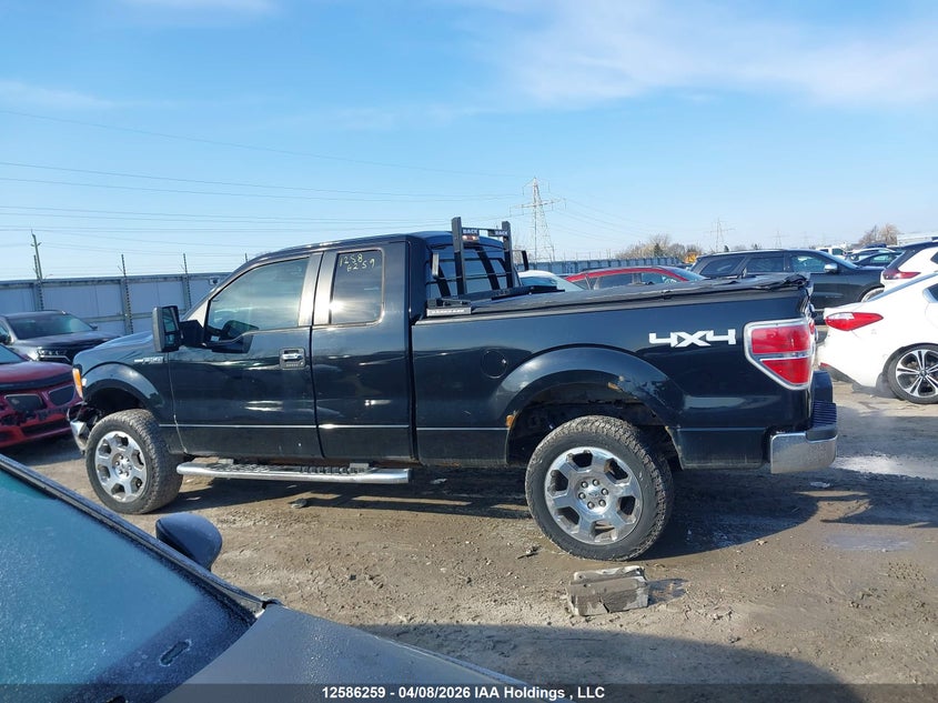 2009 Ford F-150 Lariat/Xl/Xlt VIN: 1FTPX14V69KC86850 Lot: 12586259