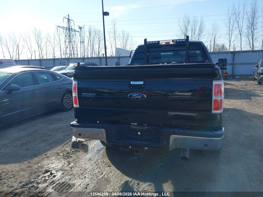 2009 Ford F-150 Lariat/Xl/Xlt VIN: 1FTPX14V69KC86850 Lot: 12586259
