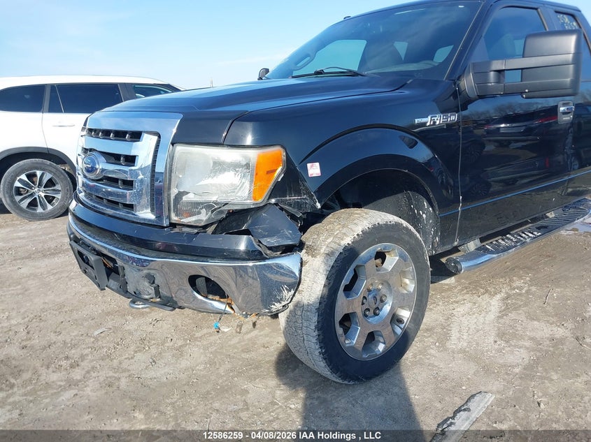 2009 Ford F-150 Lariat/Xl/Xlt VIN: 1FTPX14V69KC86850 Lot: 12586259