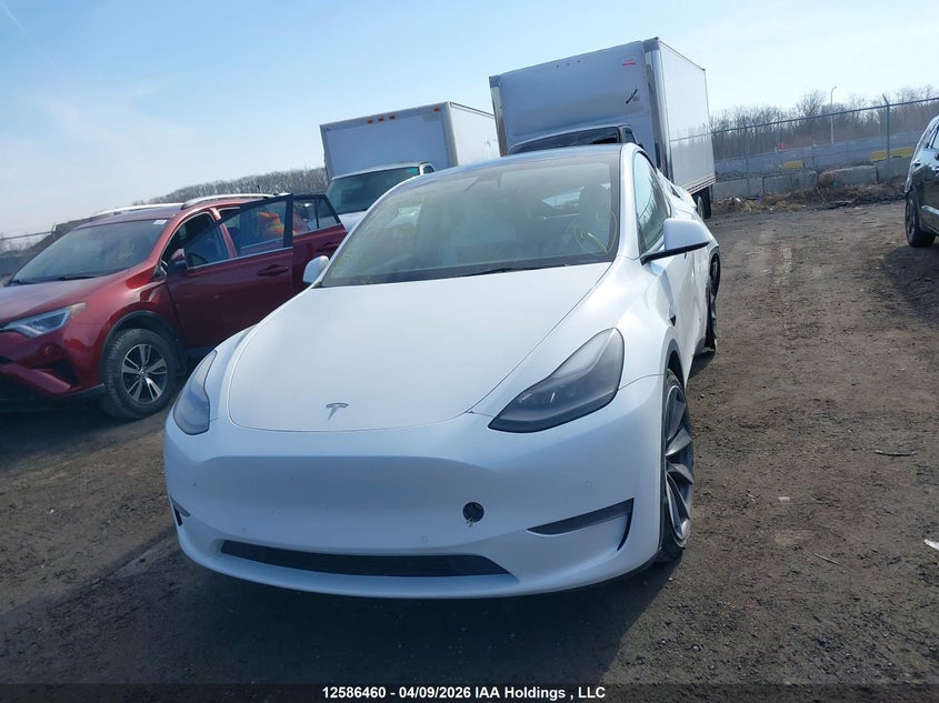 2022 Tesla Model Y Performance VIN: 7SAYGDEF7NF373356 Lot: 12586460
