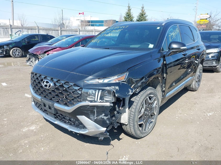 2021 Hyundai Santa Fe VIN: 5NMS5DAL8MH327035 Lot: 12586647