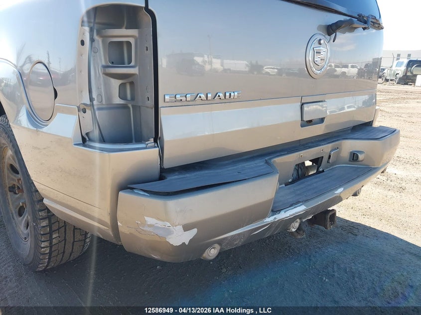 2003 Cadillac Escalade Luxury VIN: 1GYEK63N63R169623 Lot: 12586949