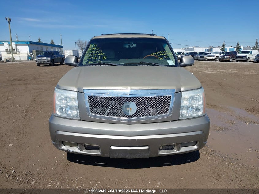 2003 Cadillac Escalade Luxury VIN: 1GYEK63N63R169623 Lot: 12586949