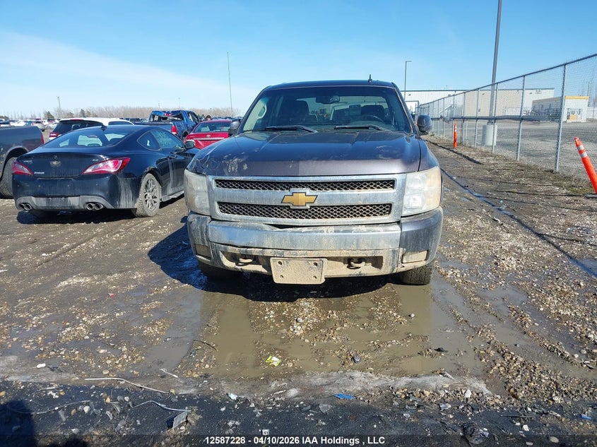 2010 Chevrolet Silverado 1500 Lt VIN: 3GCRKSEA0AG105083 Lot: 12587228