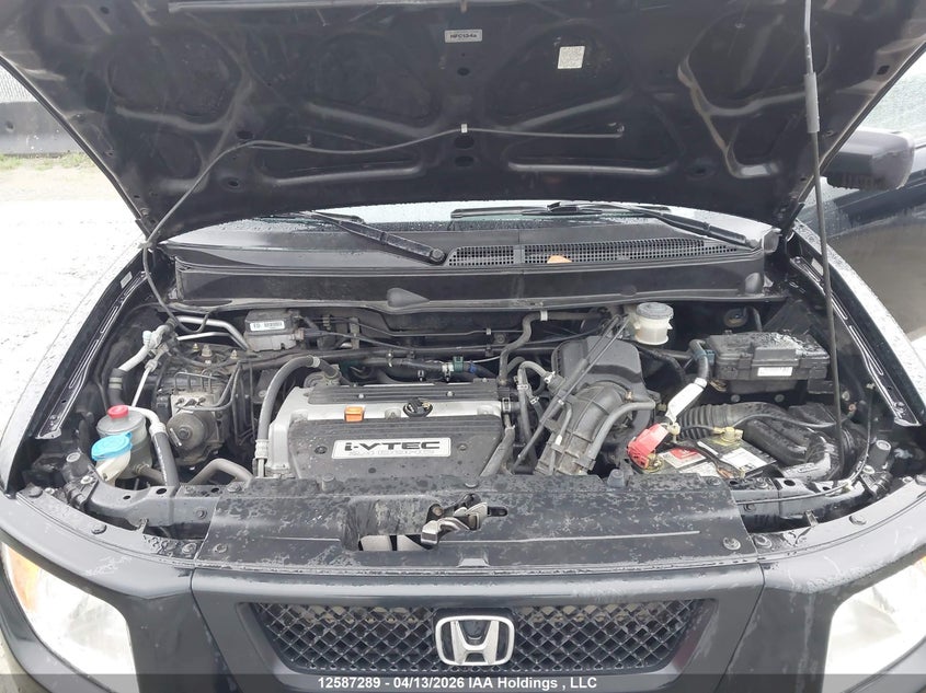 2006 Honda Element Ex VIN: 5J6YH28776L801003 Lot: 12587289