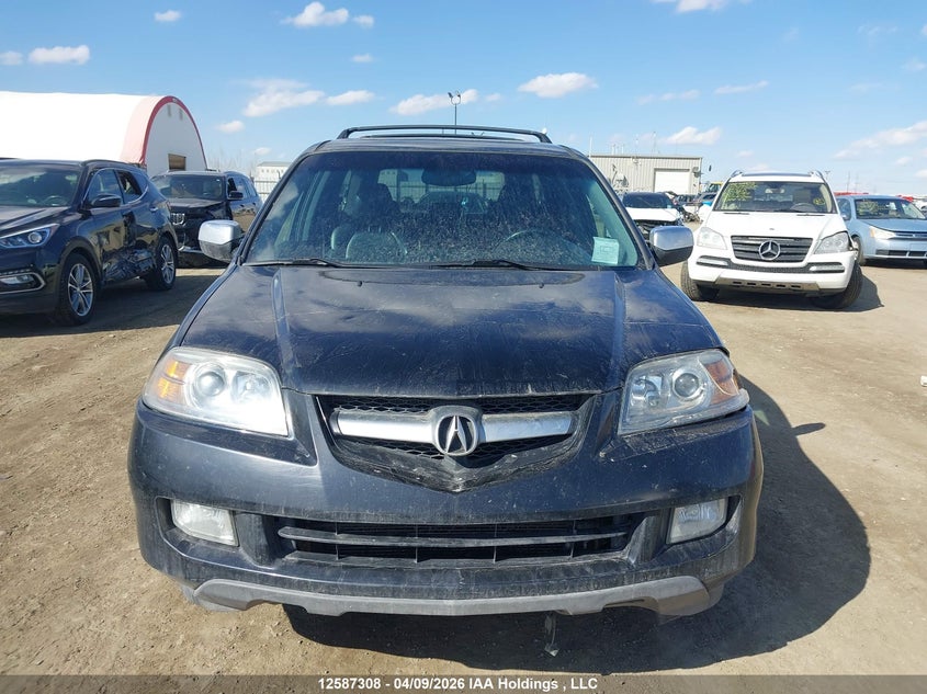 2004 Acura Mdx Touring VIN: 2HNYD189X4H002897 Lot: 12587308