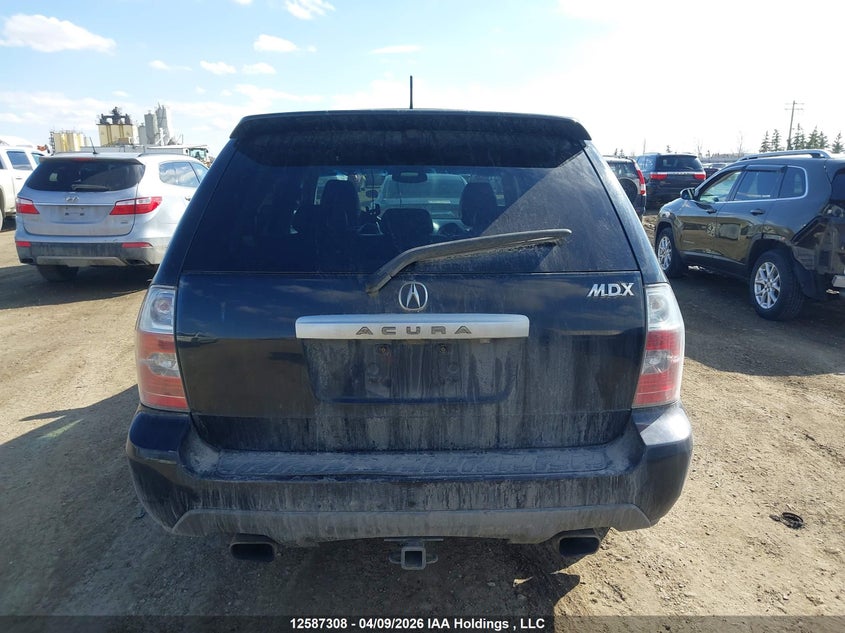 2004 Acura Mdx Touring VIN: 2HNYD189X4H002897 Lot: 12587308