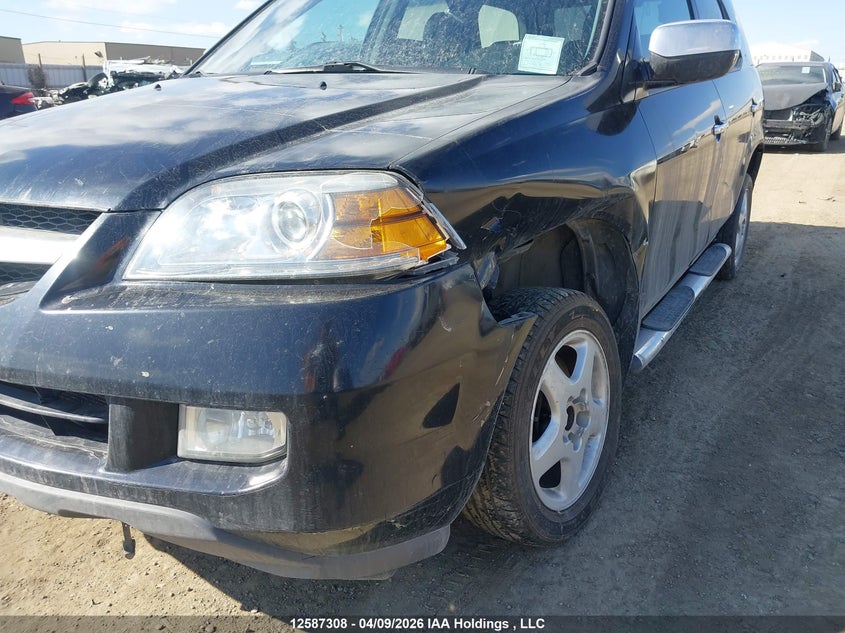 2004 Acura Mdx Touring VIN: 2HNYD189X4H002897 Lot: 12587308
