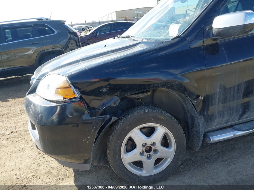 2004 Acura Mdx Touring VIN: 2HNYD189X4H002897 Lot: 12587308
