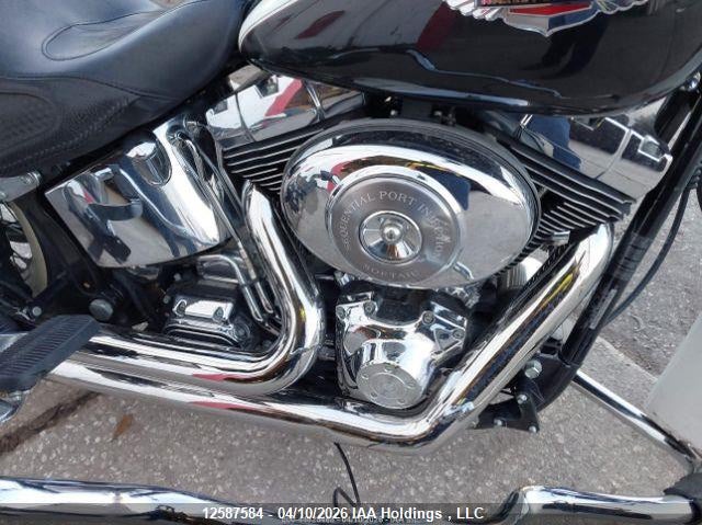 2005 Harley-Davidson Flstni VIN: 5HD1JDB195Y096998 Lot: 12587584