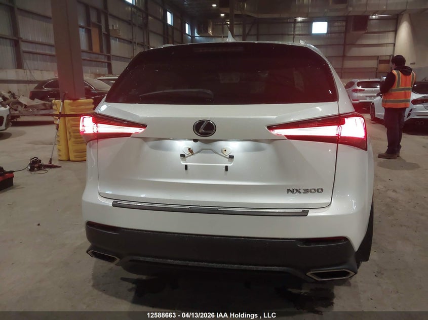 2020 Lexus Nx 300 VIN: JTJGARDZ9L2232921 Lot: 12588663