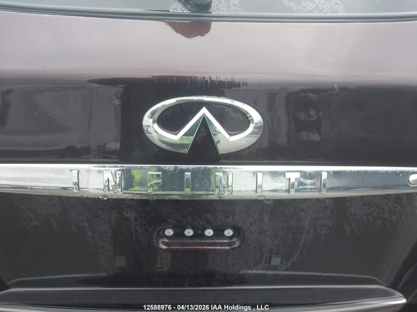 2010 Infiniti Ex35 Journey VIN: JN1AJ0HR1AM751481 Lot: 12588976