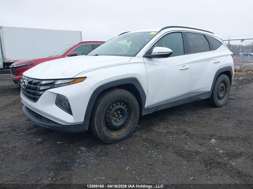 Vin: km8jb3ae5pu189771, lot: 2985437, hyundai tucson 20232