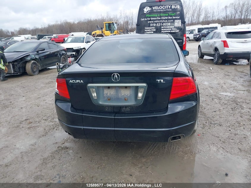 2005 Acura Tl VIN: 19UUA66275A800226 Lot: 12589577